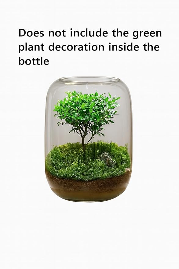 Glass Terrarium/Aquairum Vase 16×22 cm – Empty Container (No Plants or Décor Included) – Moss/Succulent/Air Plant Holder for Home & Office Tabletop Decoration